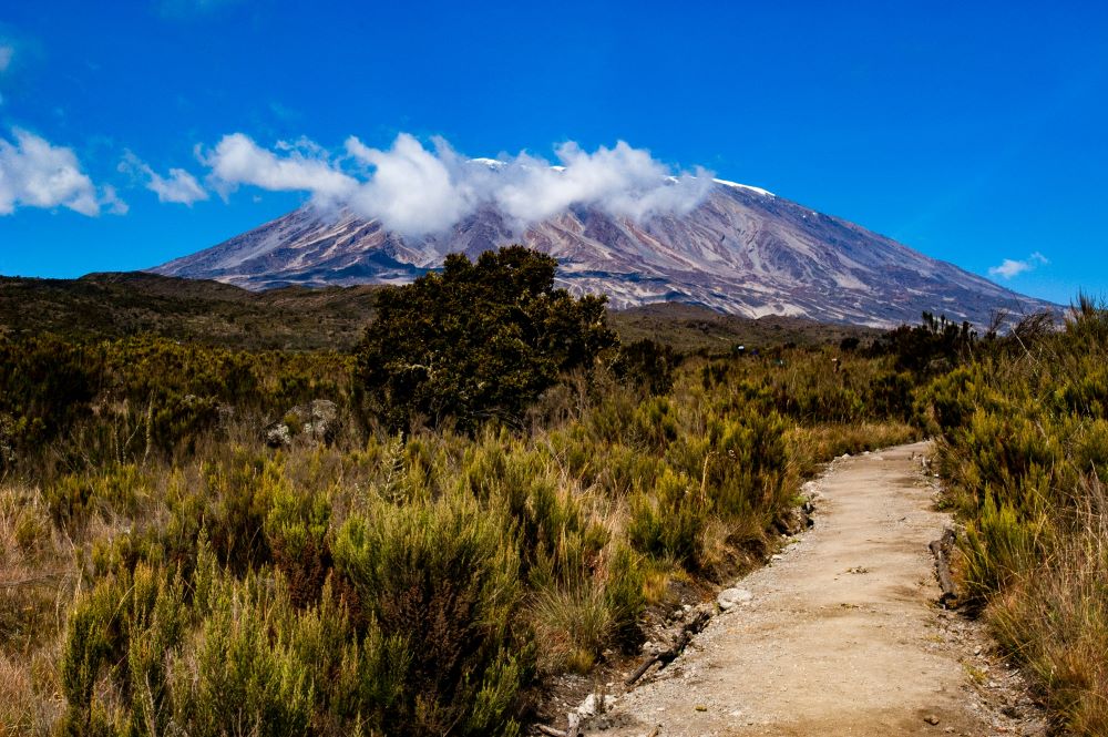 Coca Cola Route zum Kilimandscharo. Marangu Trekking Route