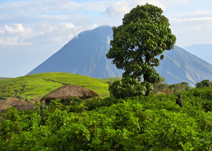 Ngorongoro Highland Trekking with Safari and Sansibar